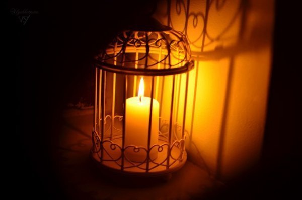 Фотовиставка Вікторії Величко